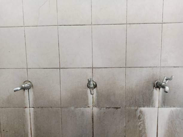 Best Water damage restoration near me  in Rocky Top, TN