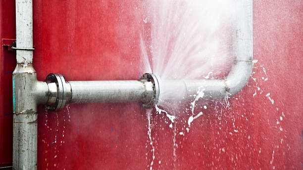 Best Flood damage cleanup  in Rocky Top, TN