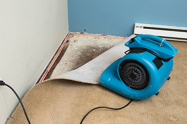 Best Fire Damage Restoration  in Rocky Top, TN